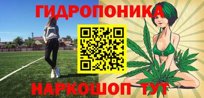 mdpv Краснознаменск