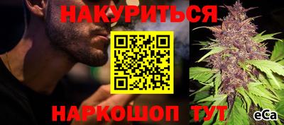 стафф Краснодар