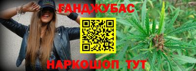 mdpv Краснознаменск