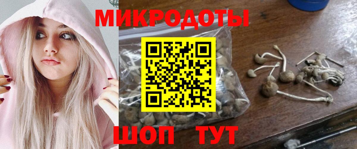 Галлюциногенные грибы Psilocybe  Галлюциногенные грибы Magic Shrooms  Юрга  Вход с VPN 